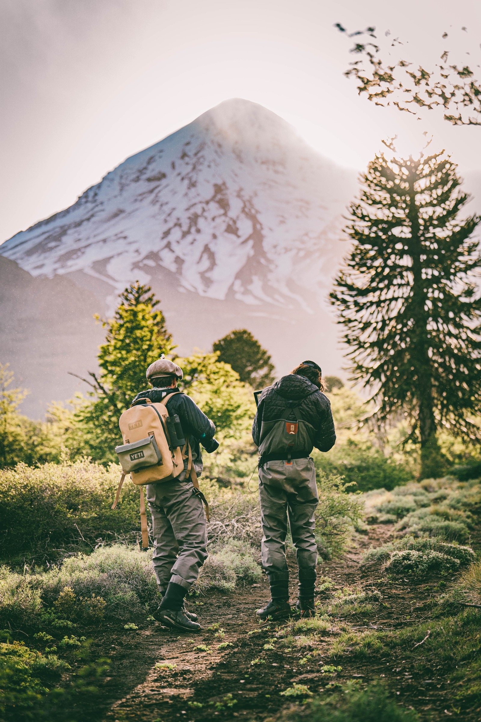 Travelers hiking through mountain forest