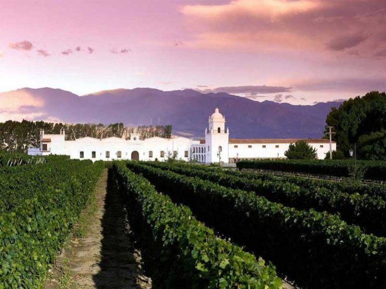 Argentina Traveler Salta wineyard