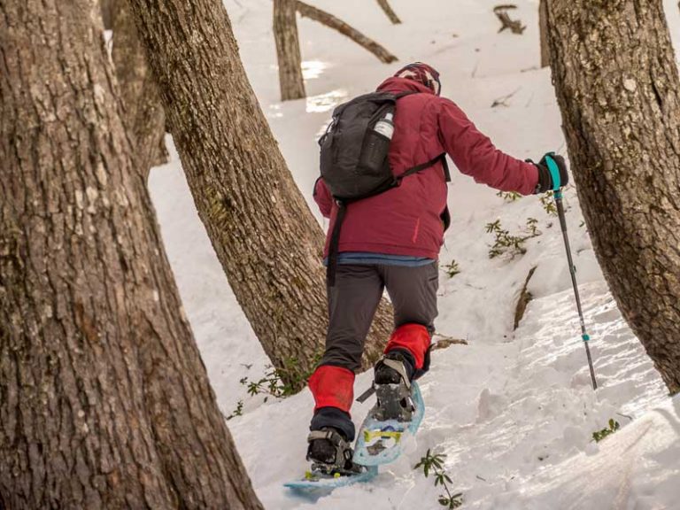 Argentina Traveler Northern Patagonia Winter trekking with rackets