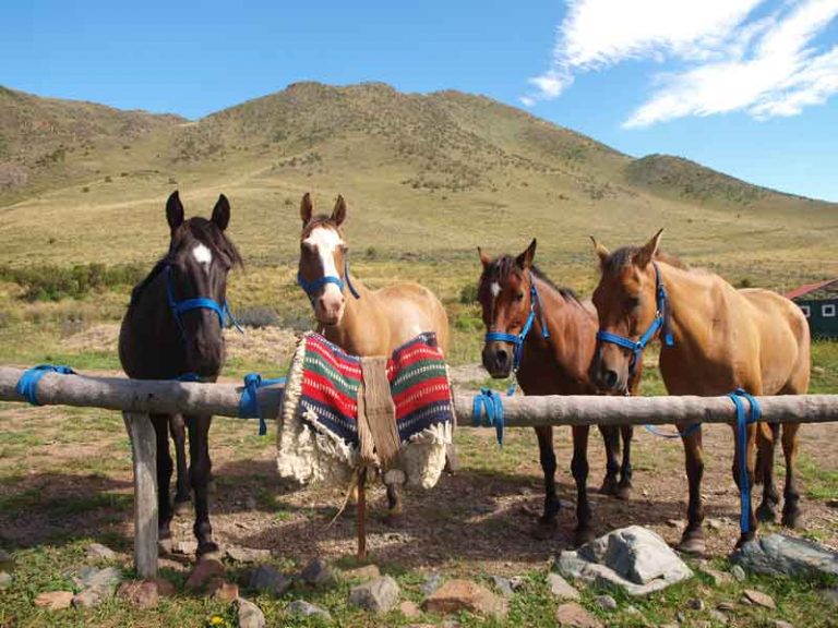 Argentina Traveler Mendoza Horseback riding