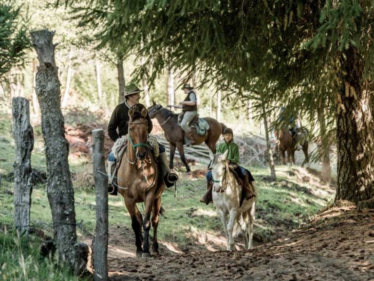 Argentina Traveler Northern Patagonia horseback riding